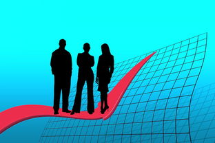 爱游戏娱乐-世界跆拳道大奖赛中国小将赢得荣誉,世界跆拳道联赛